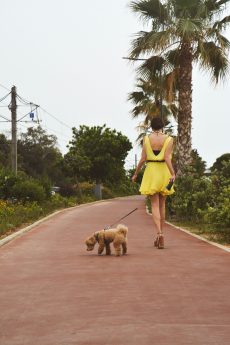 h-era yellow mini dress